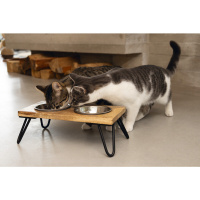 Beeztees Dbl Paslanmaz Çelik Kedi İkili Mama ve Su Kabı 31x16x10cm