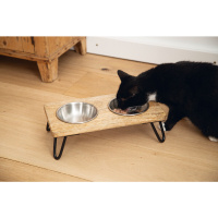 Beeztees Dbl Paslanmaz Çelik Kedi İkili Mama ve Su Kabı 31x16x10cm