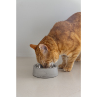 Beeztees Dbl Riboco Paslanmaz Çelik Kedi Mama Su Kabı 160ml