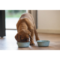 Beeztees Paslanmaz Çelik Köpek Mama ve Su Kabı 470ml (Turkuaz)