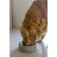 Beeztees Dbl Çelik Köpek Mama Su Kabı 700ml