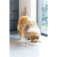 Beeztees Dbl Çelik Köpek Mama Su Kabı 700ml