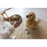 Beeztees Dbl Çelik Köpek Mama Su Kabı 700ml