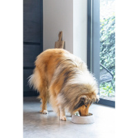Beeztees Dbl Çelik Köpek Mama Su Kabı 700ml