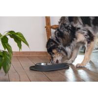 Beeztees Paslanmaz Çelik Köpek İkili Mama ve Su Kabı 40x24cm