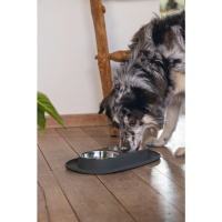 Beeztees Paslanmaz Çelik Köpek İkili Mama ve Su Kabı 40x24cm