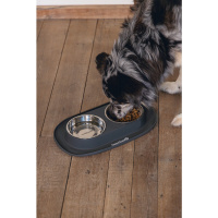 Beeztees Paslanmaz Çelik Köpek İkili Mama ve Su Kabı 40x24cm
