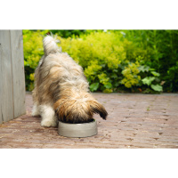 Beeztees Dbl Riboco Paslanmaz Çelik Köpek Mama Su Kabı 350ml
