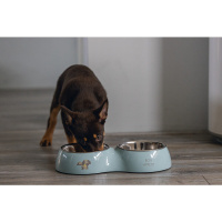 Beeztees Paslanmaz Çelik İkili Köpek Mama ve Su Kabı 2x350ml (Turkuaz)