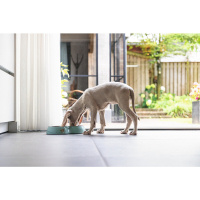 Beeztees Paslanmaz Çelik İkili Köpek Mama ve Su Kabı 2x350ml (Turkuaz)