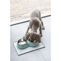 Beeztees Paslanmaz Çelik İkili Köpek Mama ve Su Kabı 2x350ml (Turkuaz)