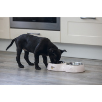 Beeztees Binky Paslanmaz Çelik İkili Köpek Mama ve Su Kabı 2x350ml (Pembe)