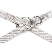 Beeztees Uni Köpek Gezdirme Kayışı 120cm (Açık Gri)