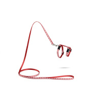 Beeztees Hearts Yavru Kedi Göğüs Tasması ve Gezdirme Kayışı 120cm (Kırmızı)
