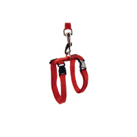 Beeztees Kedi Göğüs Tasması ve Gezdirme Kayışı 130cm (Kırmızı)