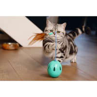 Beeztees Turino Yün İplikten Hacıyatmaz Kedi Oyuncağı 9x7x7cm