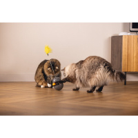 Beeztees Toplu Hacıyatmaz Kedi Oyuncağı 10x10x42cm