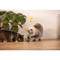 Beeztees Toplu Hacıyatmaz Kedi Oyuncağı 10x10x42cm