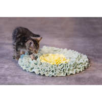 Beeztees Flowie Saklama Hazneli Yavru Kedi Oyuncağı 38x38x3cm