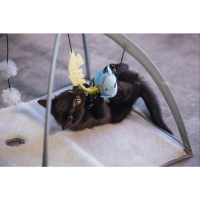 Beeztees Xabia Yavru Kedi Oyun Parkı 40x40x33cm