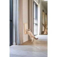 Beeztees Dbl Kedi Tırmalama Tahtası 50x40x2cm