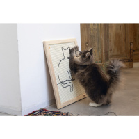 Beeztees Dbl Kedi Tırmalama Tahtası 50x40x2cm