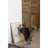 Beeztees Dbl Kedi Tırmalama Tahtası 50x40x2cm