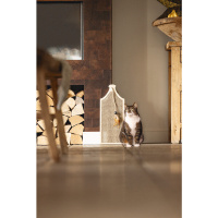 Beeztees Oyuncaklı Kedi Tırmalama Tahtası 50x20x2cm