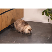 Beeztees Dbl Bambu Kedi Mama ve Su Kabı 12x12x3cm 250ml (Antrasit)