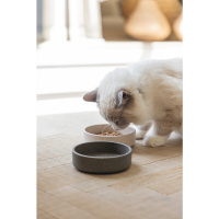 Beeztees Dbl Bambu Kedi Mama ve Su Kabı 12x12x3cm 250ml (Bej)