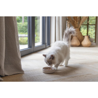 Beeztees Dbl Bambu Kedi Mama ve Su Kabı 12x12x3cm 250ml (Bej)