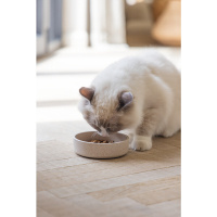Beeztees Dbl Bambu Kedi Mama ve Su Kabı 12x12x3cm 250ml (Bej)