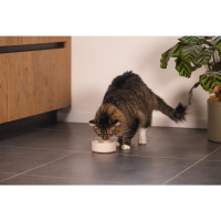 Beeztees Dbl Bambu Kedi Mama ve Su Kabı 12x12x3cm 250ml (Bej)
