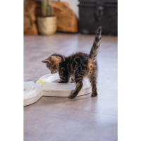 Beeztees Rail Agty Yavru Kedi Oyuncağı 50x24x5,5cm