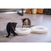 Beeztees Rail Agty Yavru Kedi Oyuncağı 50x24x5,5cm