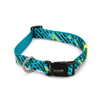 Beeztees Memphis Köpek Boyun Tasması 48-70cm (Turkuaz)