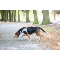 Beeztees Neopren Köpek Göğüs Tasması 41-46cm (Gri)