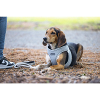 Beeztees Neopren Köpek Göğüs Tasması 41-46cm (Gri)