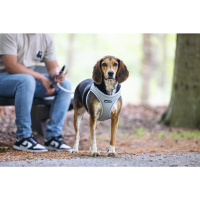 Beeztees Neopren Köpek Göğüs Tasması 41-46cm (Gri)