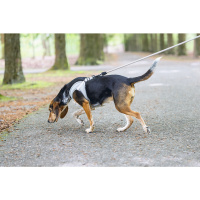 Beeztees Neopren Köpek Göğüs Tasması 41-46cm (Gri)