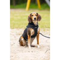 Beeztees Neopren Köpek Göğüs Tasması 41-46cm (Siyah)