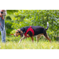 Beeztees Neopren Köpek Göğüs Tasması 41-46cm (Kırmızı)