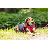 Beeztees Neopren Köpek Göğüs Tasması 41-46cm (Kırmızı)