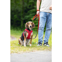 Beeztees Neopren Köpek Göğüs Tasması 41-46cm (Kırmızı)