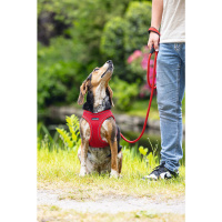 Beeztees Neopren Köpek Göğüs Tasması 41-46cm (Kırmızı)