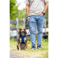 Beeztees Neopren Köpek Göğüs Tasması 41-46cm (Mavi)