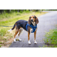 Beeztees Neopren Köpek Göğüs Tasması 41-46cm (Mavi)