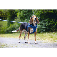 Beeztees Neopren Köpek Göğüs Tasması 41-46cm (Mavi)