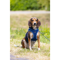 Beeztees Neopren Köpek Göğüs Tasması 41-46cm (Mavi)