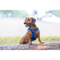 Beeztees Parinca Neopren Köpek Göğüs Tasması 38-44cm (Mavi)